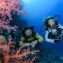 Get Your Dives Difference: Why Choose Us for Your Red Sea Diving Adventure