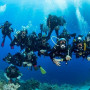 Your Guide to Scuba Diving in the Red Sea Top Dive Sites and Tips